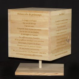 De ma fenêtre… Les quatre saisons de D’Autray