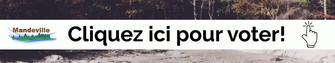 L’attribut alt de cette image est vide, son nom de fichier est bannierest-cleo-1080x204.gif.